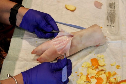 Fysieke opleiding: Workshop - debrideren op varkenspoten